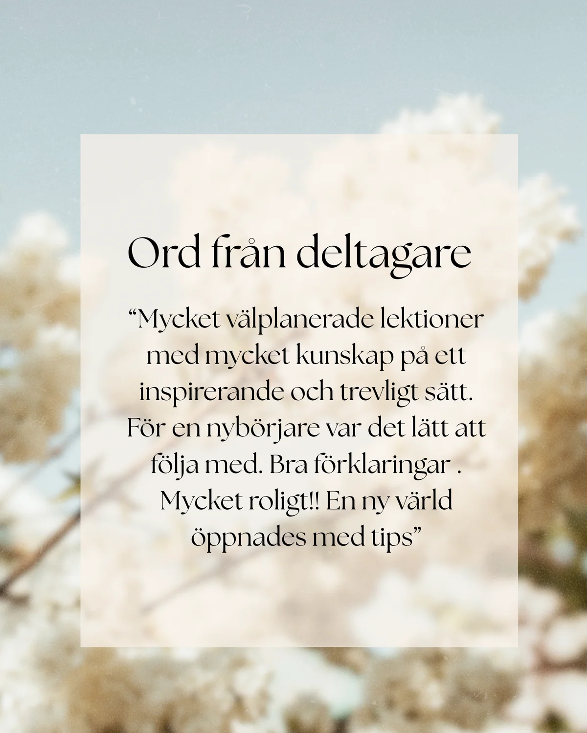 Ord från deltagare: Mycket välplanerade lektioner med mycket kunskap på ett inspirerande och trevligt sätt. För en nybörjare var det lätt att följa med. Bra förklaringar! Mycket roligt!! En ny värld öppnades med tips.